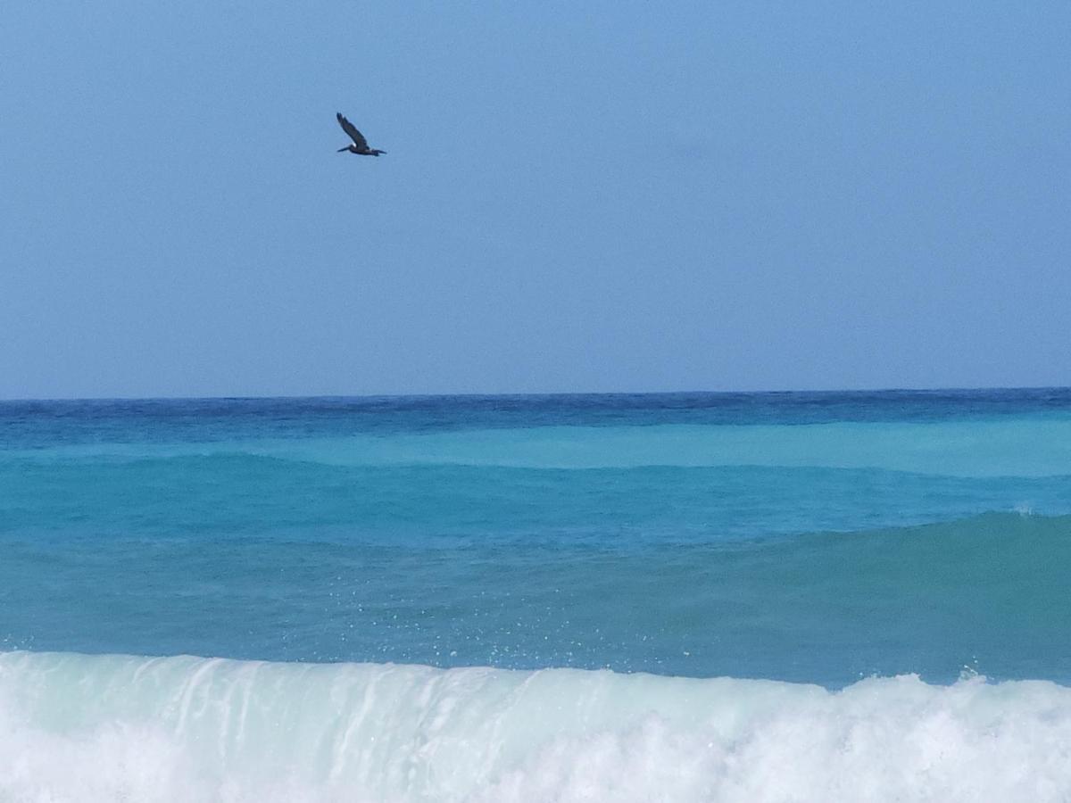 Beachfront Apartment, Quiet 4 Beds, 1 Bath, Ac, Wi-Fi, Hot Water, In Paraiso Near Los Patos Exterior foto
